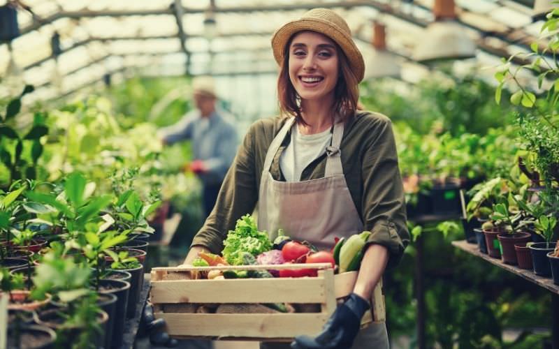 woman holding a basket of fresh picked vegetables