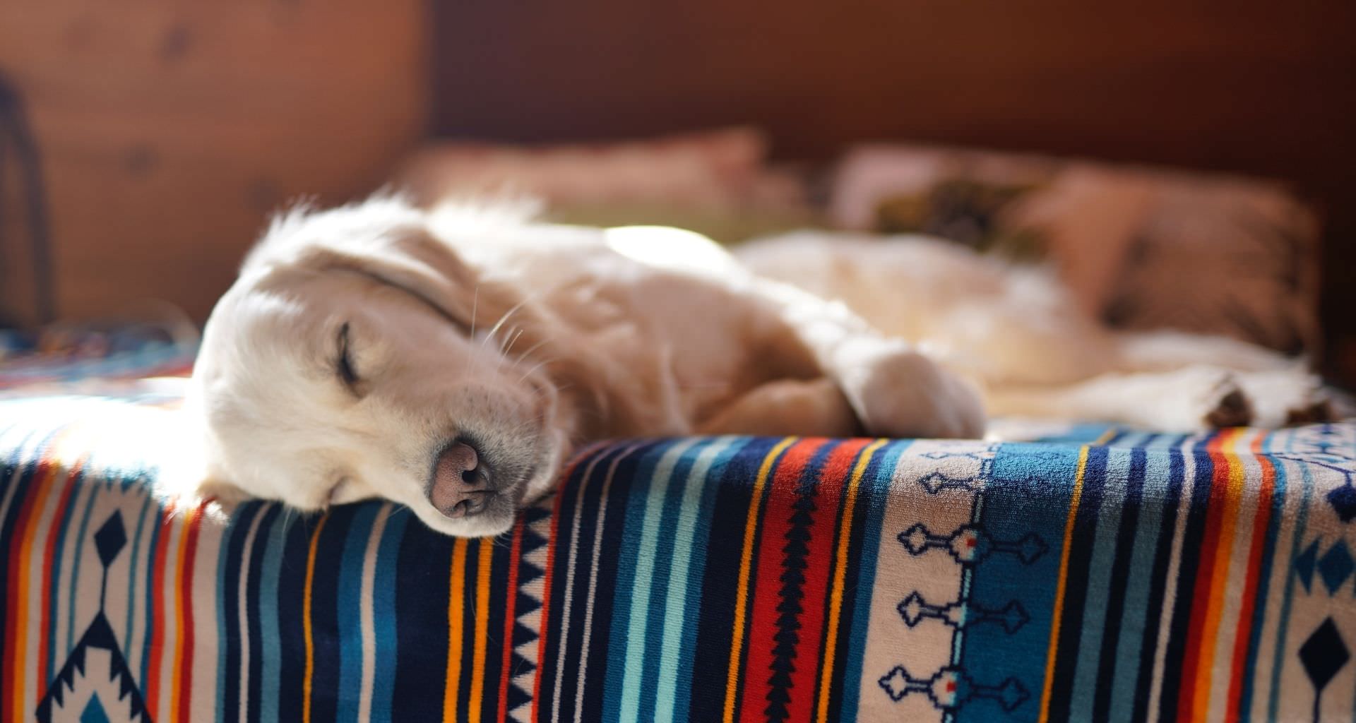 Procommun_how-to-get-a-better-sleep_2