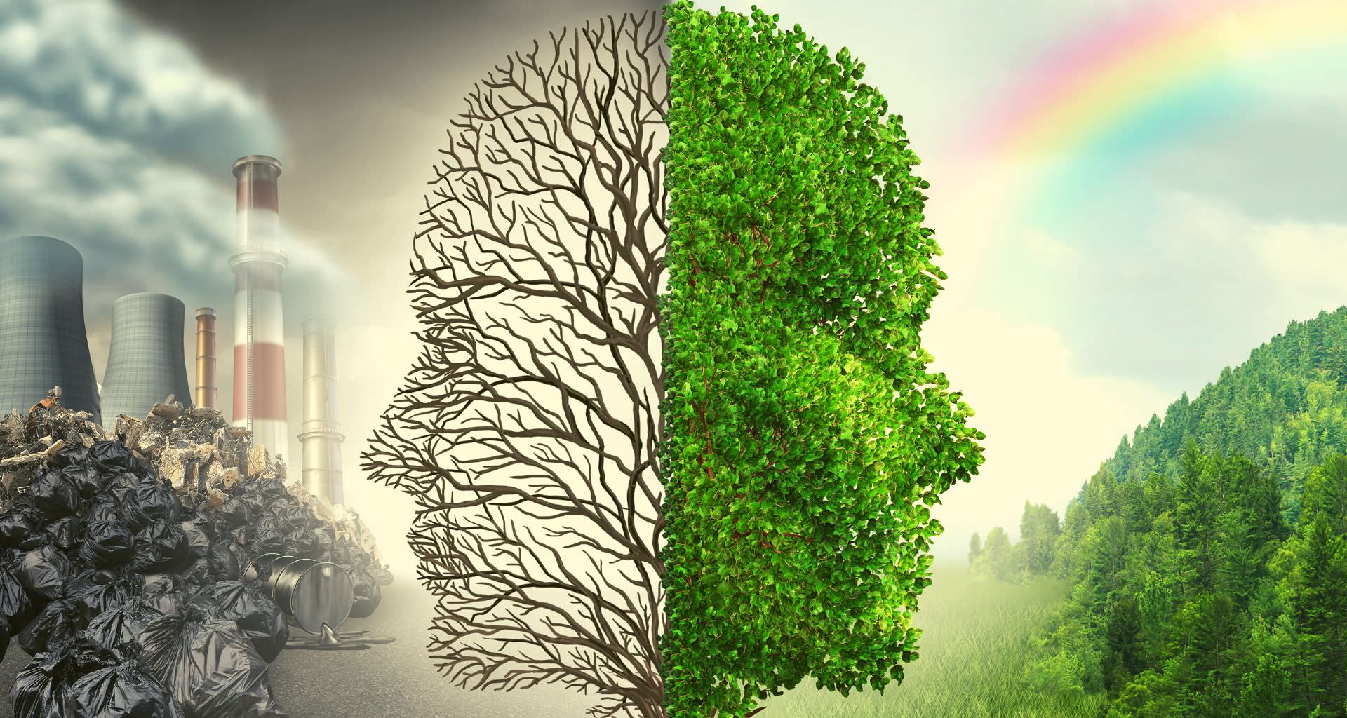 2 - Environmental Impact of Nanotechnology