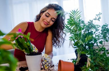 Women with indoor plants