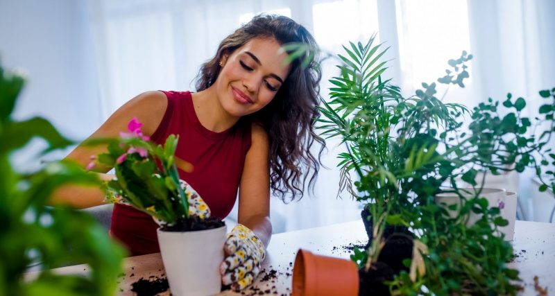 Women with indoor plants