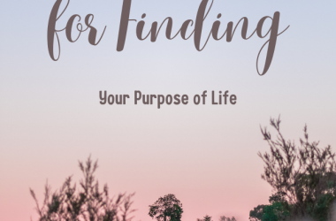 9 tips for finding your purpose in life Procommun Web Stories
