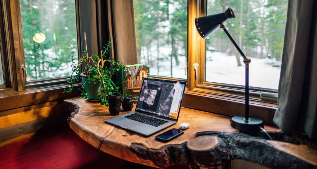 Alt.tag: A home office with a plant